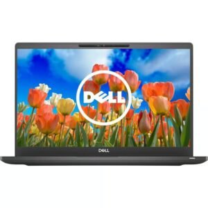 DELL3
